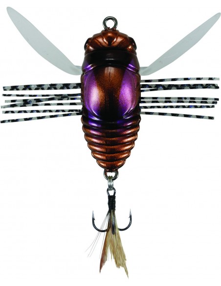 Duo Realis Grade A Koshinmushi Beentle