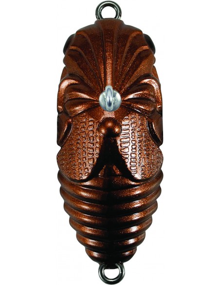 Duo Realis Grade A Koshinmushi Beentle