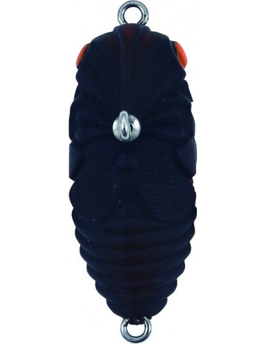 Duo Realis Grade A Koshinmushi Aburazemi