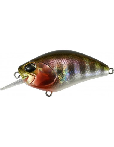 Duo Realis Crank 55 SR Kabuki Prism Gill
