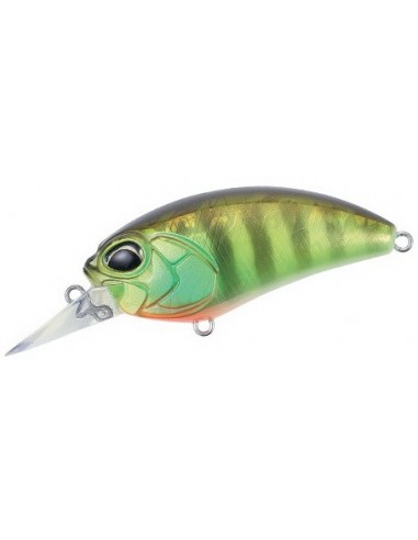 Realis Crank M62 5A Chart Gill Halo
