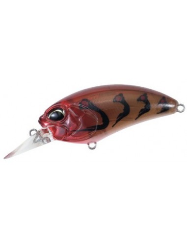 Duo Realis Crank M62 5A Omnicraw