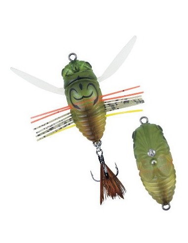 Duo Realis Grade A Koshinmushi Haruzemi