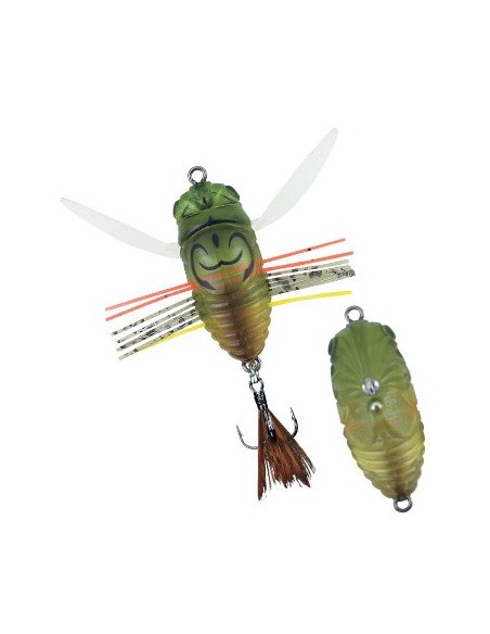 Duo Realis Grade A Koshinmushi Haruzemi