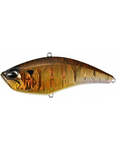 Realis Apex Vibe 100 - Bronze Gill
