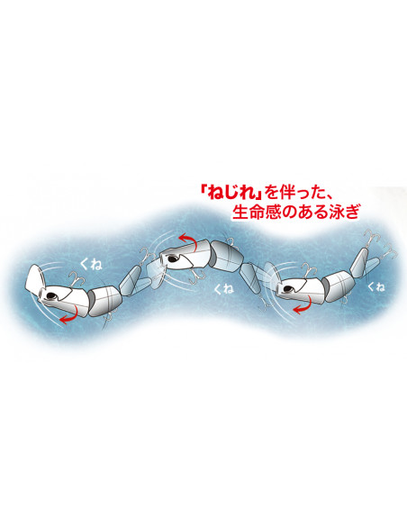 Duo Realis Rozante PERJ 95F